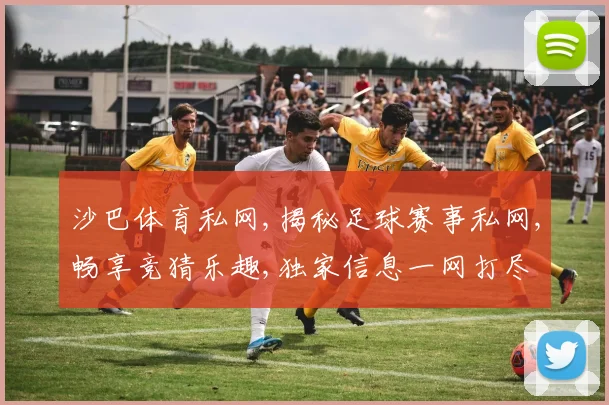沙巴体育私网,揭秘足球赛事私网,畅享竞猜乐趣,独家信息一网打尽