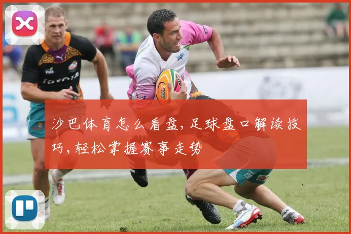 沙巴体育怎么看盘,足球盘口解读技巧,轻松掌握赛事走势