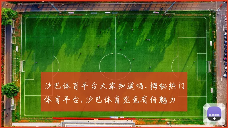 沙巴体育平台大家知道吗,揭秘热门体育平台,沙巴体育究竟有何魅力