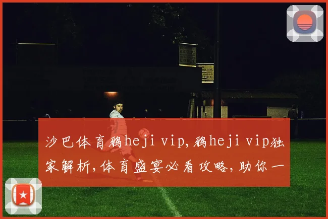沙巴体育鸦heji vip,鸦heji vip独家解析,体育盛宴必看攻略,助你一臂之力